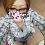 ヒメ日記 2026/04/15 12:56 投稿 せいか 大和人妻城