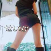 ヒメ日記 2026/04/18 15:52 投稿 せいか 大和人妻城