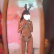 ヒメ日記 2026/06/01 08:44 投稿 シズカ バニーコレクション新潟店
