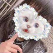 ヒメ日記 2026/04/11 09:44 投稿 あめ 奥様特急　立川店