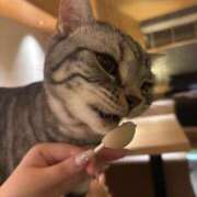 ヒメ日記 2026/04/20 18:29 投稿 百瀬　もあ ピンクダイア