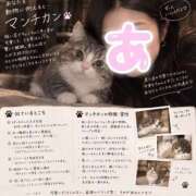 ヒメ日記 2026/09/30 07:32 投稿 あん 小田原人妻城