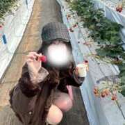 ヒメ日記 2026/04/11 16:02 投稿 い　ぶ アイドルソープ　萌えっ娘学園