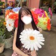 ヒメ日記 2026/07/02 19:21 投稿 Fuka THE RICH