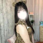 ヒメ日記 2026/04/12 12:34 投稿 こなつ Okini所沢