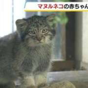 ヒメ日記 2026/07/23 23:11 投稿 いくら♡純粋無垢に変態 ラブチャンス(福岡)