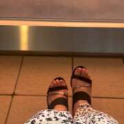ヒメ日記 2026/09/08 09:36 投稿 あすか セレブクエスト-koshigaya-