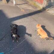 ヒメ日記 2026/10/09 14:58 投稿 あすか セレブクエスト-koshigaya-