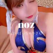 ヒメ日記 2026/04/13 12:08 投稿 のず 白いぽっちゃりさん