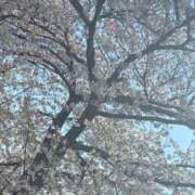 ゆりあ はじめまして(*´□`*) 人妻小旅行