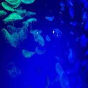 ヒメ日記 2026/05/31 22:52 投稿 瑠奈/るな　centu STYLISH BACH