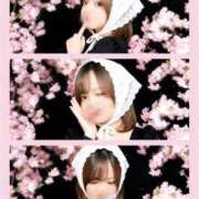 ヒメ日記 2026/04/14 12:05 投稿 ユリ AMOUR（アムール）