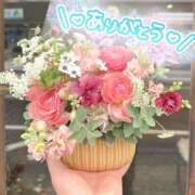 ヒメ日記 2026/04/15 21:45 投稿 さくら 京都回春性感マッサージ倶楽部