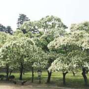 さえ 明後日😊 熟女の風俗最終章 蒲田店