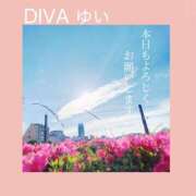 ヒメ日記 2026/05/04 12:36 投稿 ゆい DIVA-ディーバ-【DIVAグループ】
