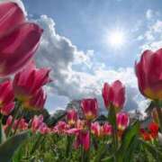 ヒメ日記 2026/04/21 09:25 投稿 りいさ 待ちナビ