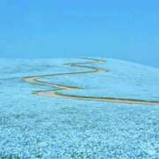 ヒメ日記 2026/04/22 10:49 投稿 りいさ 待ちナビ