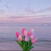 ヒメ日記 2026/04/23 15:15 投稿 りいさ 待ちナビ