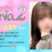 ヒメ日記 2026/05/06 11:43 投稿 はるか SPIN(スピン)