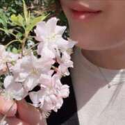 ヒメ日記 2026/04/12 10:02 投稿 まこ 出会い系人妻ネットワーク 五反田～品川編