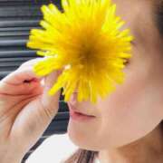 ヒメ日記 2026/04/28 11:15 投稿 まこ 出会い系人妻ネットワーク 五反田～品川編