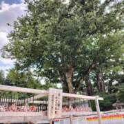 ヒメ日記 2026/09/30 09:46 投稿 清川はるき ABC 岩手ソープ