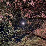 ヒメ日記 2026/04/11 06:21 投稿 みあ 久喜鷲宮ちゃんこ