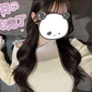 ヒメ日記 2026/04/16 17:31 投稿 しおり The White