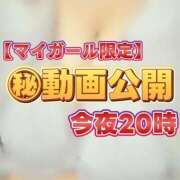 ヒメ日記 2026/04/27 12:40 投稿 しおり The White