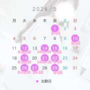 ヒメ日記 2026/04/28 23:32 投稿 しおり The White