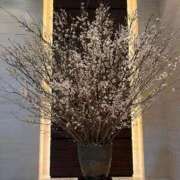 美奈海(みなみ) 初めまして🩷 人妻出逢い会 百合の園 山の手本店