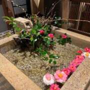 美奈海(みなみ) 今日は　福岡にー^_^ 人妻出逢い会 百合の園 山の手本店