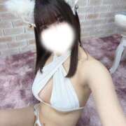 ヒメ日記 2026/04/18 12:06 投稿 とっとこ☆あも♪ にゃんだ☆full☆MIX（にゃんだふるみっくす）