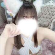 ヒメ日記 2026/04/21 05:12 投稿 とっとこ☆あも♪ にゃんだ☆full☆MIX（にゃんだふるみっくす）