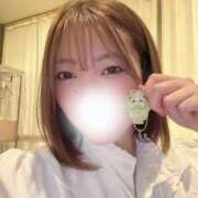 ヒメ日記 2026/04/20 14:53 投稿 イチカ PALCO(パルコ)