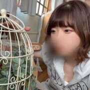 うるは やばい バイオレンス
