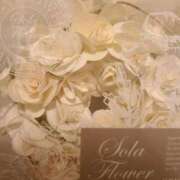 不二子⭐伝説のNo.1期間限定 ありがとうございました。 石庭