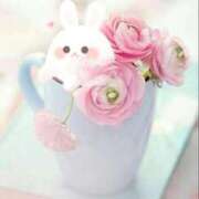 ヒメ日記 2026/04/23 07:50 投稿 不二子⭐伝説のNo.1期間限定 石庭