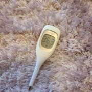 ヒメ日記 2026/04/23 08:20 投稿 不二子⭐伝説のNo.1期間限定 石庭