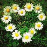 ヒメ日記 2026/04/23 18:00 投稿 不二子⭐伝説のNo.1期間限定 石庭