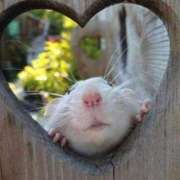 ヒメ日記 2026/04/24 08:26 投稿 不二子⭐伝説のNo.1期間限定 石庭