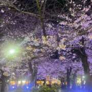 ヒメ日記 2026/04/16 10:01 投稿 ふあ Gossip girl成田店