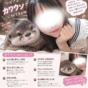 ヒメ日記 2026/09/18 12:12 投稿 つばさ◆極上スレンダー美女 即イキ淫乱倶楽部　木更津店