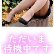 ヒメ日記 2026/04/15 17:12 投稿 桃瀬（ももせ） 熟女の風俗最終章 名古屋店