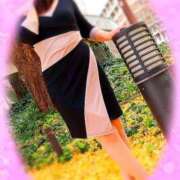 ヒメ日記 2026/04/20 08:52 投稿 桃瀬（ももせ） 熟女の風俗最終章 名古屋店