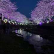 ヒメ日記 2026/04/25 16:46 投稿 長縄 遥 人妻セレブ宮殿
