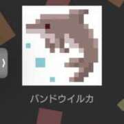 ヒメ日記 2026/09/09 23:05 投稿 長縄 遥 人妻セレブ宮殿