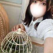 ヒメ日記 2026/04/25 13:30 投稿 ひらり MOMO(モモ)