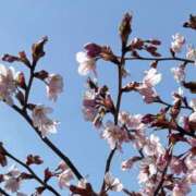 ヒメ日記 2026/04/21 11:42 投稿 金沢涼音 お姉さんCLUB