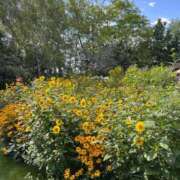 ヒメ日記 2026/04/15 17:03 投稿 桃沢りか お姉さんCLUB